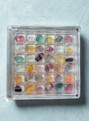 ‌Acrylic Display Case for Collectible Pebble Pets